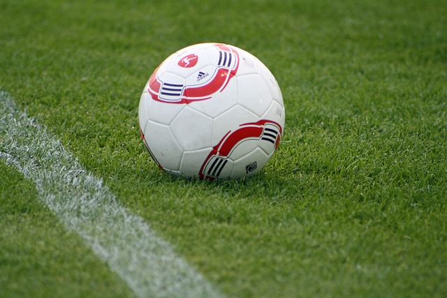 国乒8：0横扫韩国队 取得混团世界杯5连胜