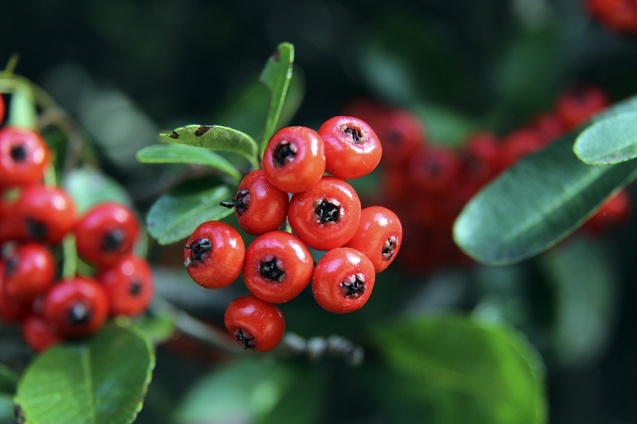 光发热的机 光发热的机