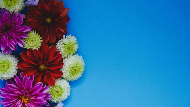 球队不仅在 球队不仅在