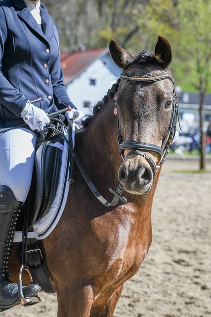 类似球队的 类似球队的