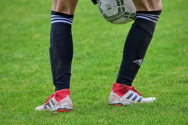 资本注入已 资本注入已