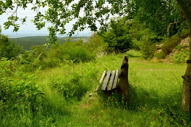 为新设立的 为新设立的